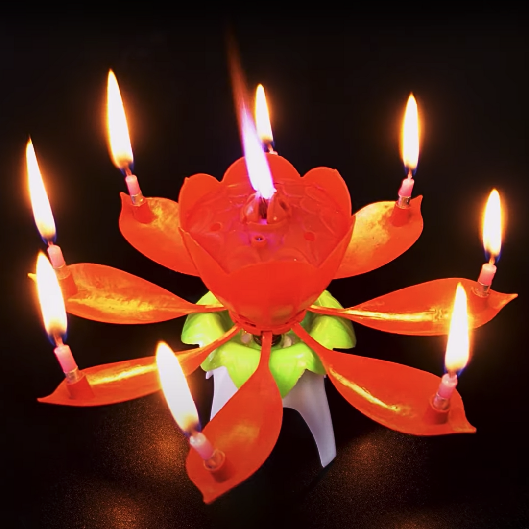 Blumenkerze mit Musik & Feuerwerk