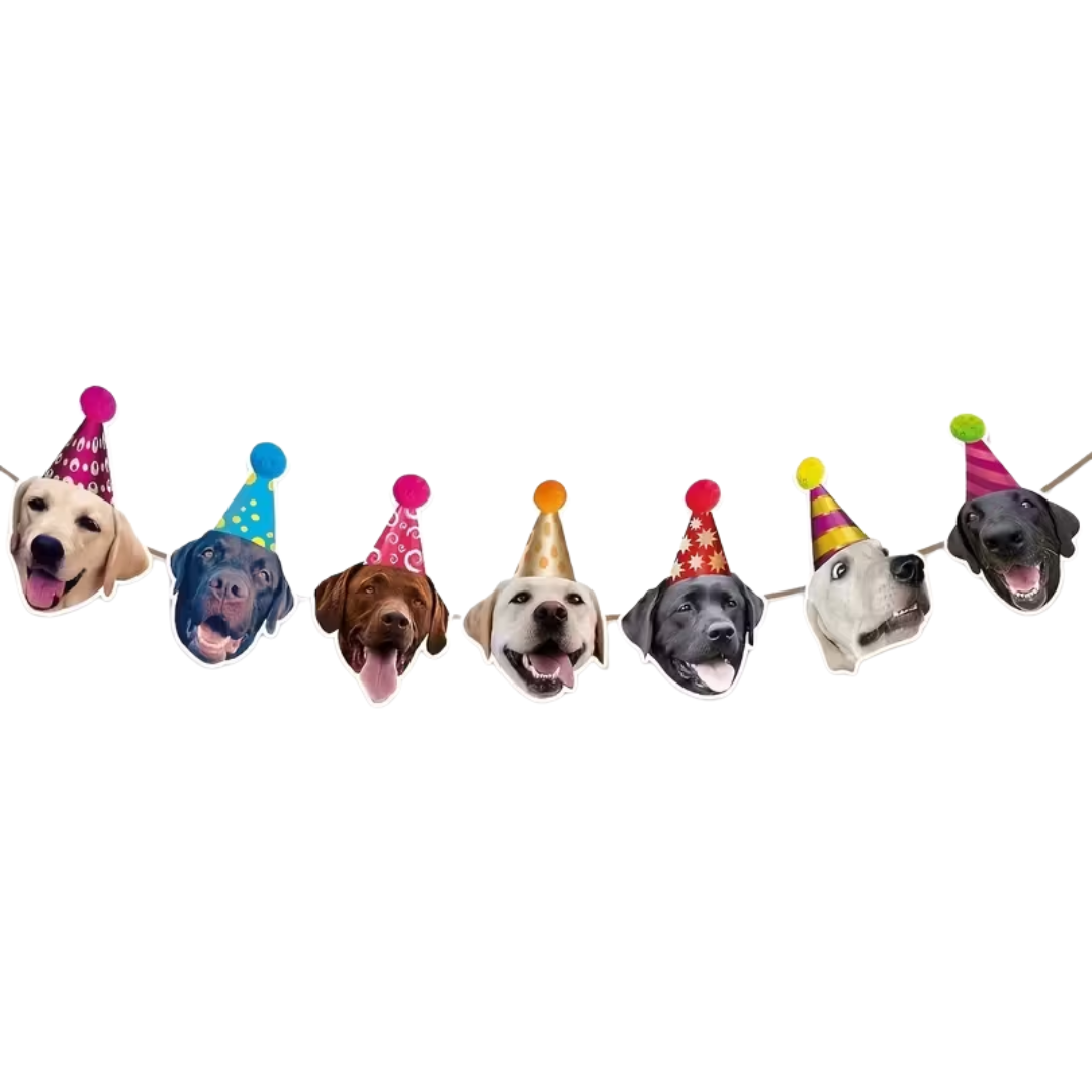 Party Labrador Girlande