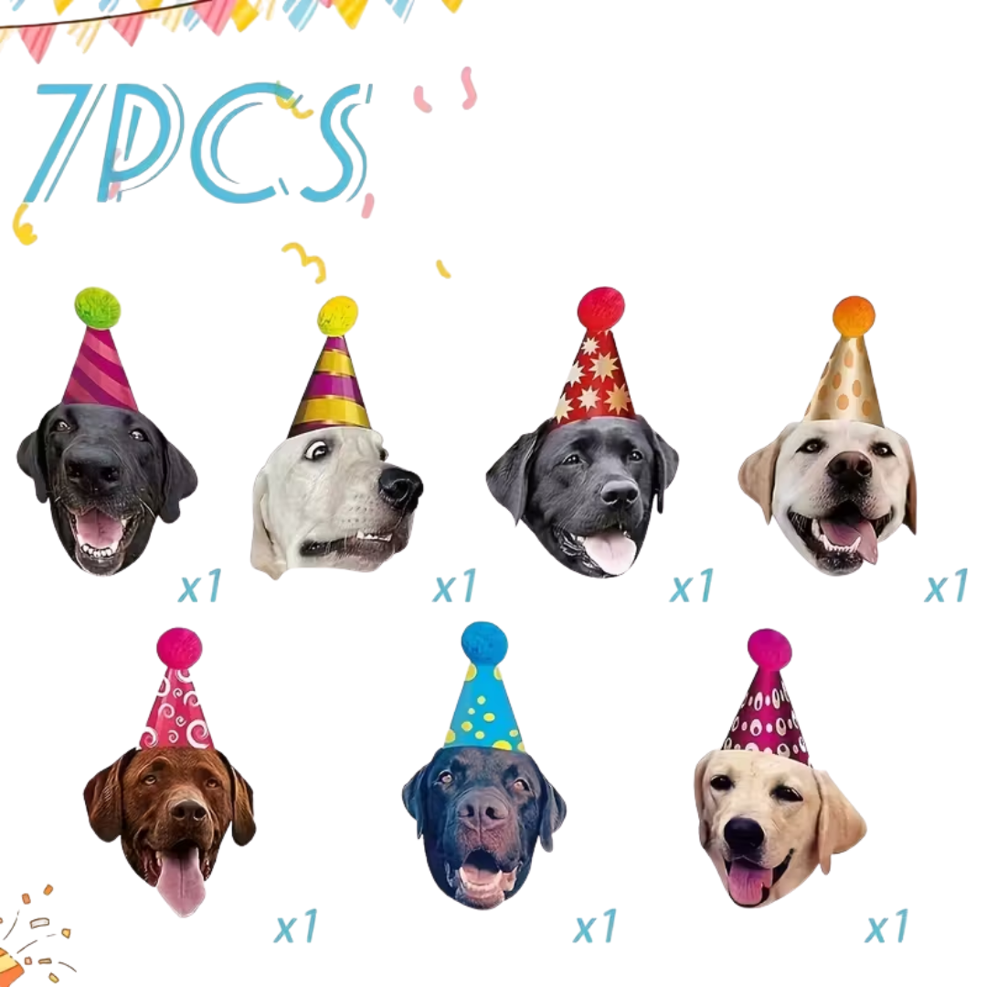Party Labrador Girlande