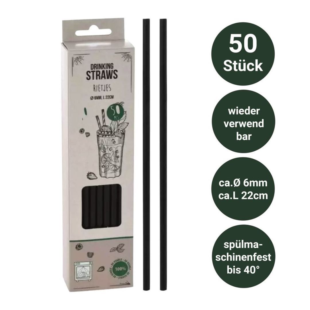 Strohhalm wiederverwendbar 50er Set