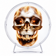 3D Hologramm LED Lüfter 32 cm