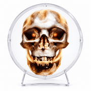 3D Hologramm LED Lüfter 32 cm - TwentyFourParty