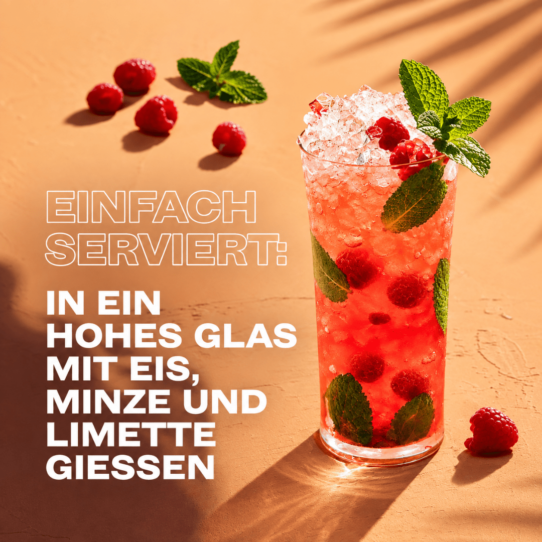Bacardi Razz Mojito 250 ml - TwentyFourParty