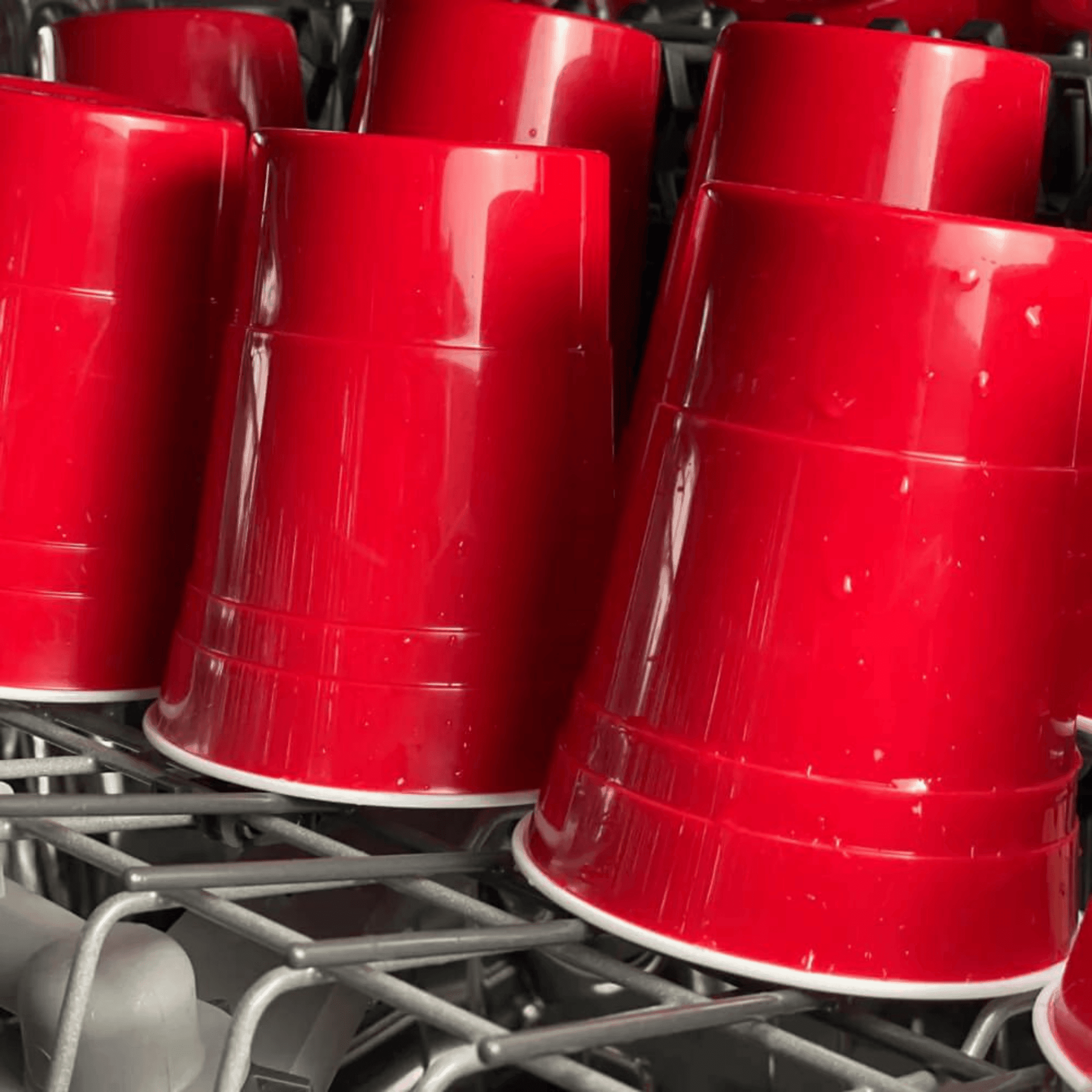 Beer Pong Becher (50x) - TwentyFourParty