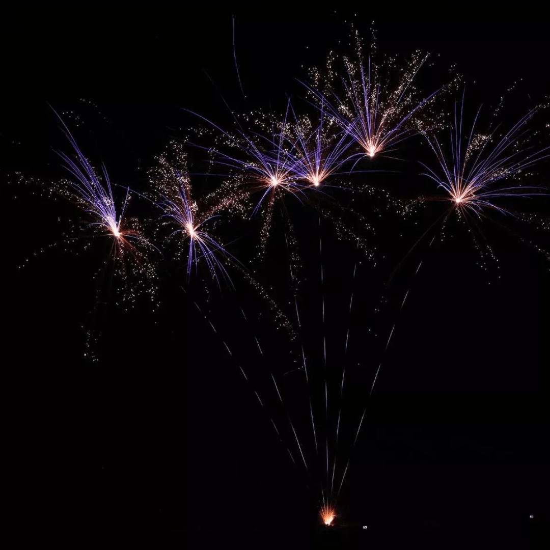 Blue Crown, 6 Schuss - TwentyFourParty