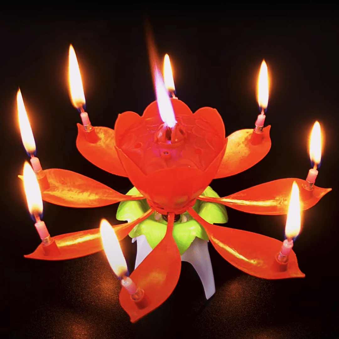 Blumenkerze mit Musik & Feuerwerk - TwentyFourParty