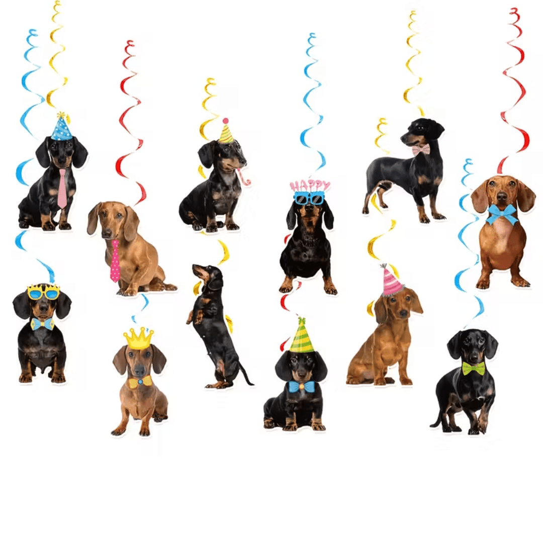 Dackel Hänge Spiralen - TwentyFourParty