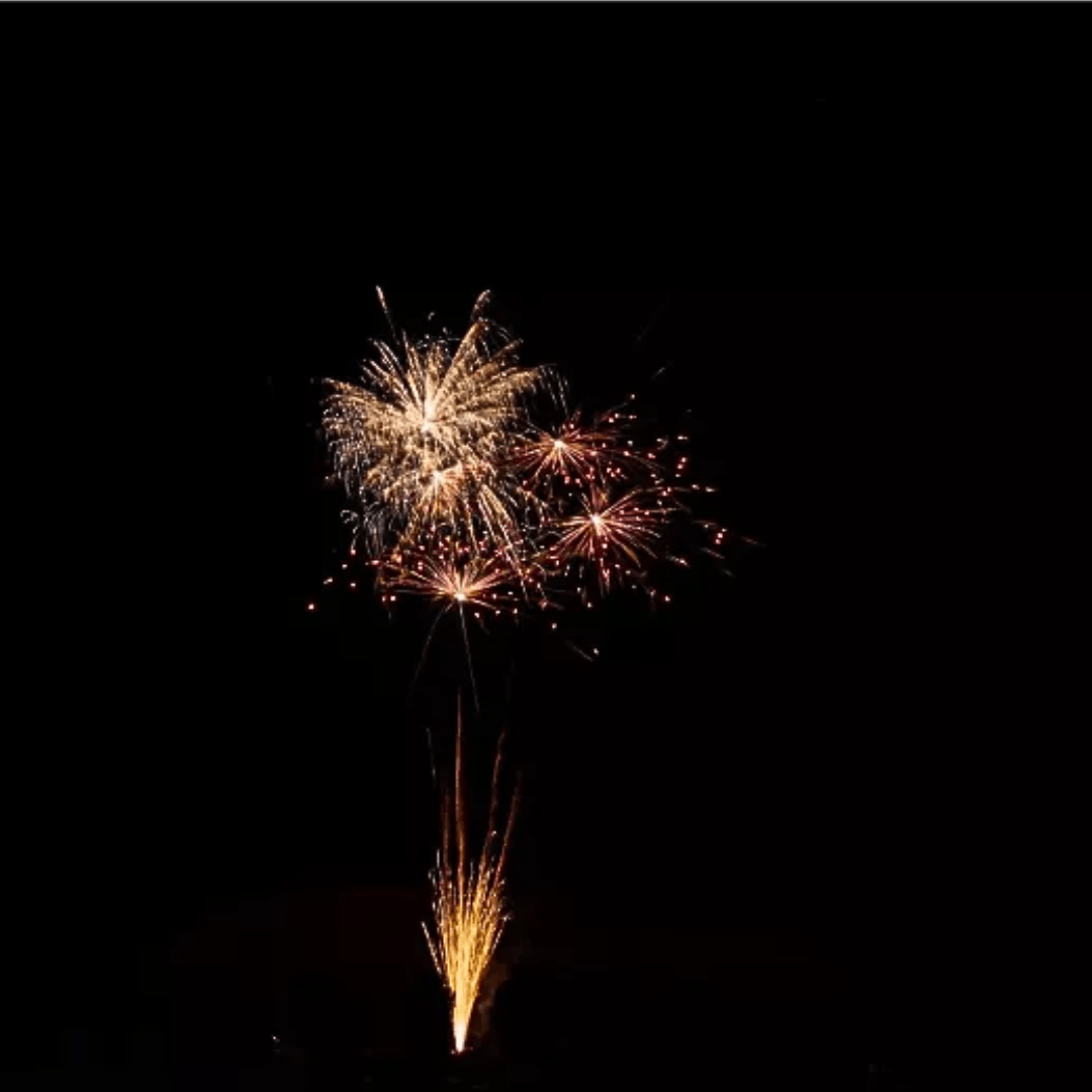 Delta - Fire B36 - 477, 36 Schuss - TwentyFourParty