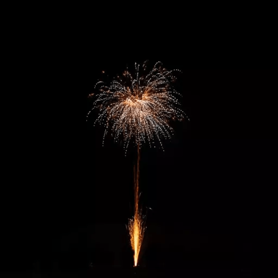 Delta - Fire B36 - 477, 36 Schuss - TwentyFourParty