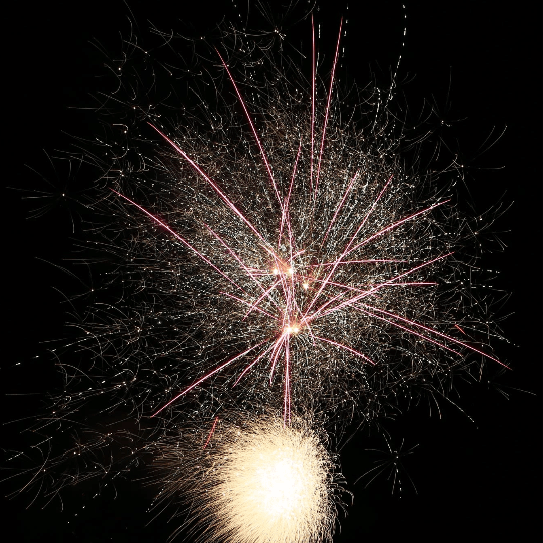 Delta Fire B40 - 496, 40 Schuss - TwentyFourParty