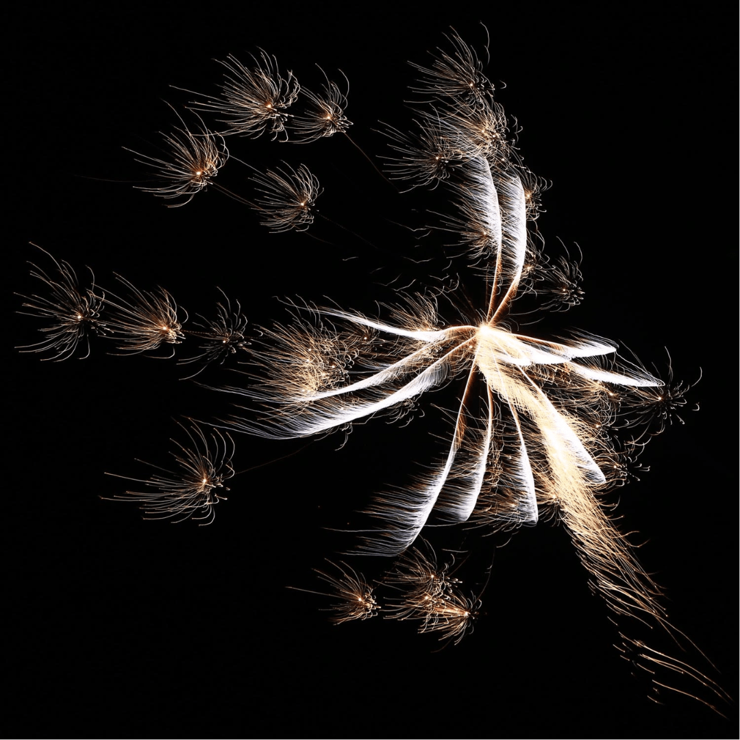 Delta Fire R10 - 200, 10er - Rak. - Schtl. - TwentyFourParty