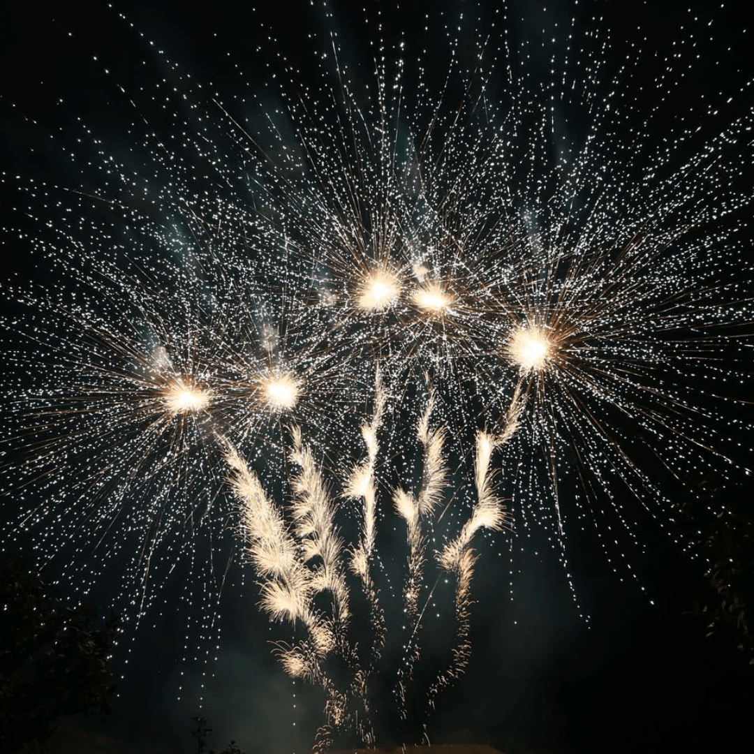 Delta Fire V100 - 1870, 100 Schuss - TwentyFourParty