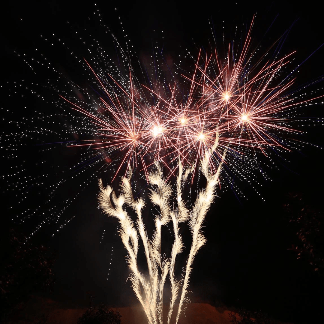 Delta Fire V100 - 1870, 100 Schuss - TwentyFourParty