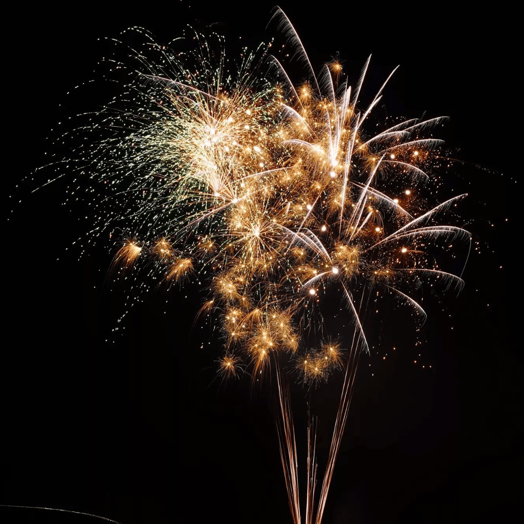 EASYBOX Gold - Paket - Für Anspruchsvolle - TwentyFourParty