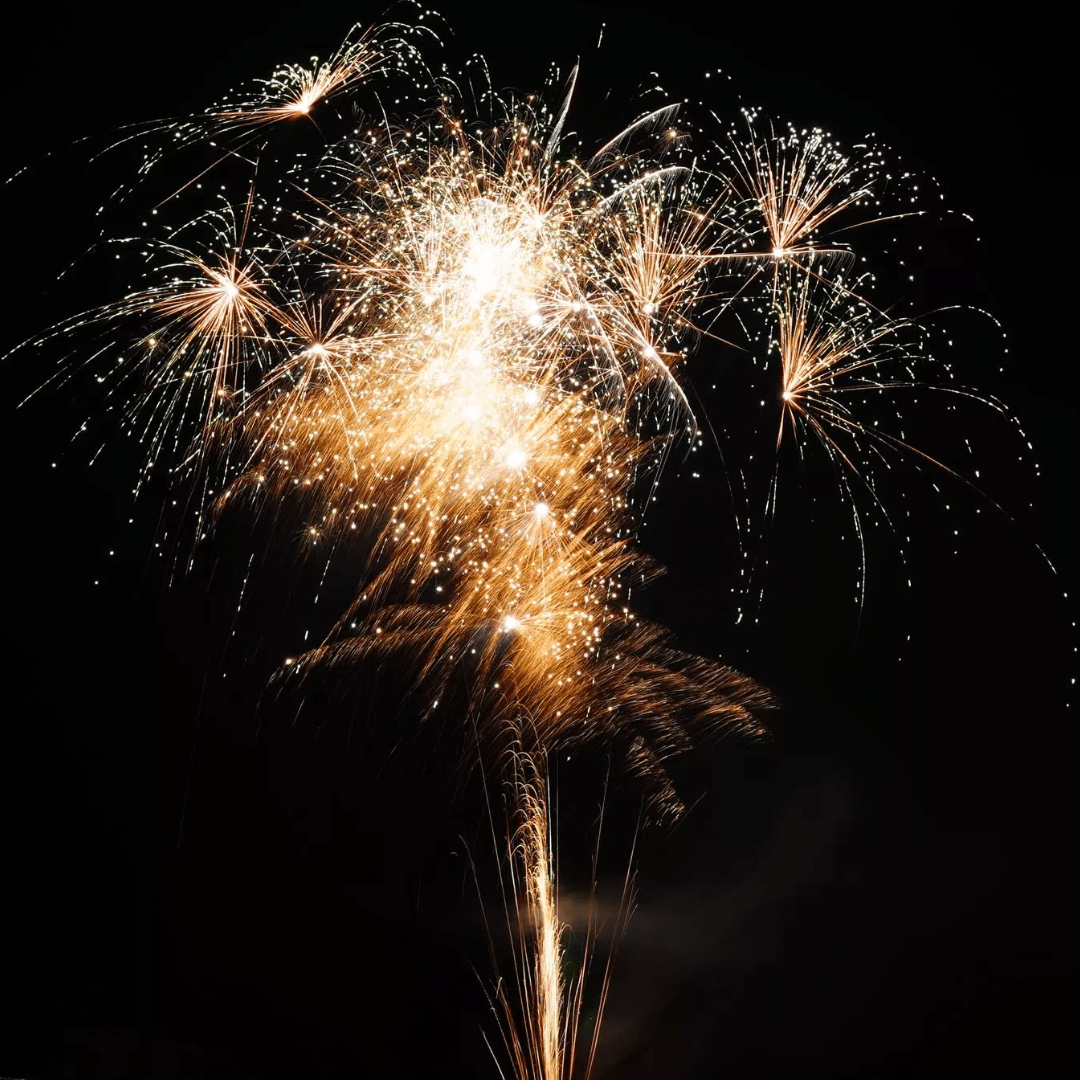 EASYBOX Platin - Paket - Die perfekte Kombination - TwentyFourParty