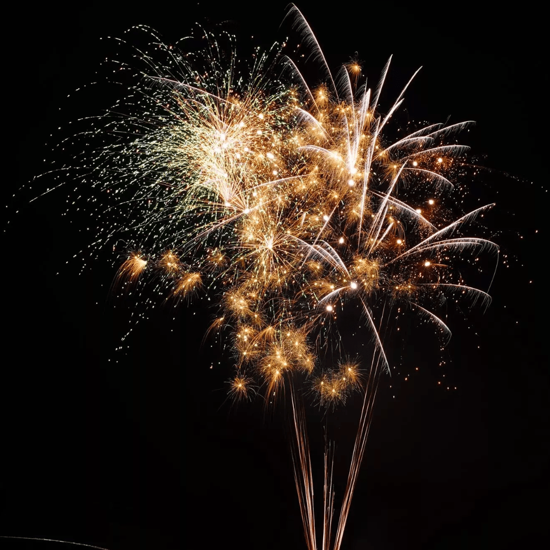 EASYBOX Platin - Paket - Die perfekte Kombination - TwentyFourParty