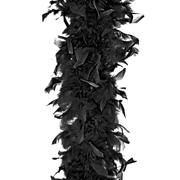 Federboa - TwentyFourParty