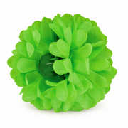 Fluoreszierende Neon Haarblume Grün mit Clip - TwentyFourParty