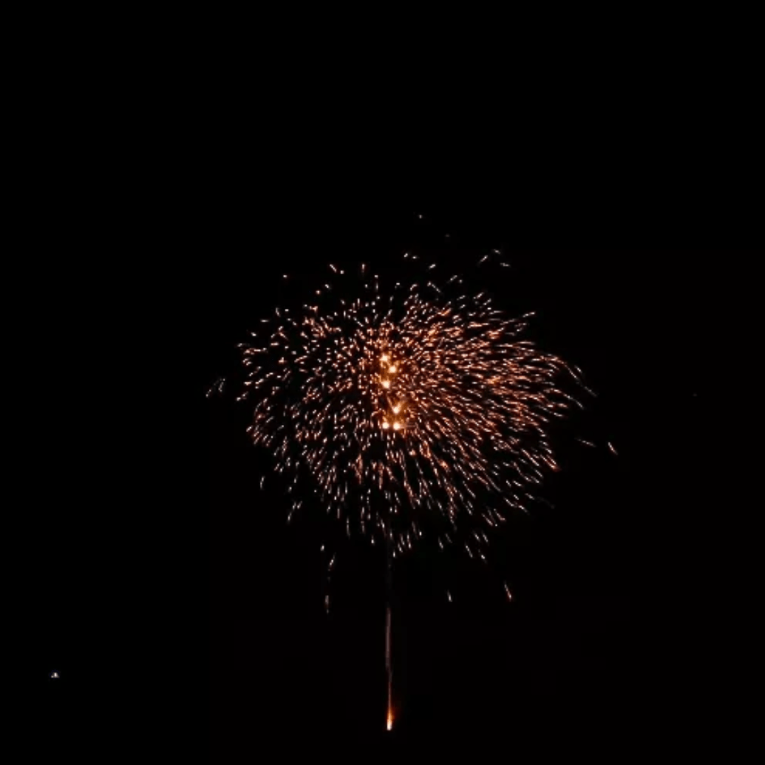 Goldkäfer, 36 Schuss - TwentyFourParty