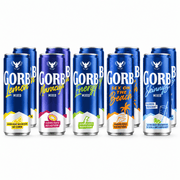 Gorbatschow Mix Set 10 × 330 ml 5 Sorten - TwentyFourParty