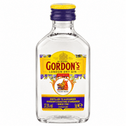 Gordon’s Gin Mini 0,05 l PET - TwentyFourParty