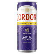 Gordon’s Gin & Tonic - TwentyFourParty