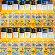 HOSSA - TwentyFourParty