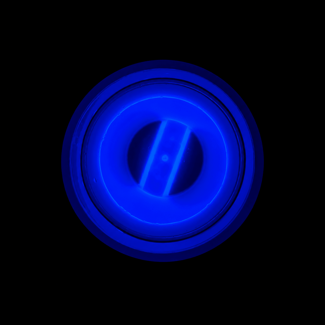 Knicklichtbecher Blau 250 ml - TwentyFourParty