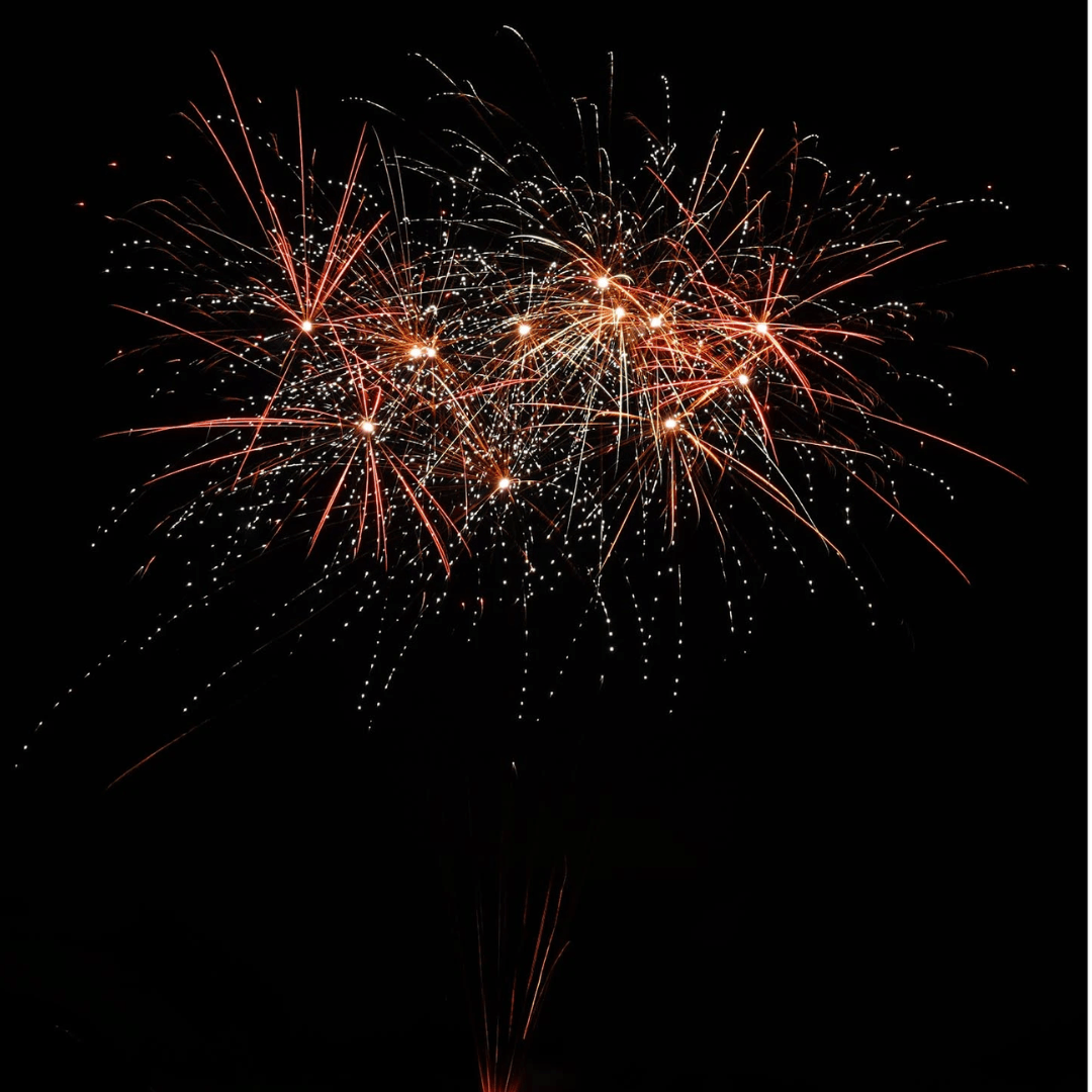 Ladies Night, 36 Schuss - TwentyFourParty