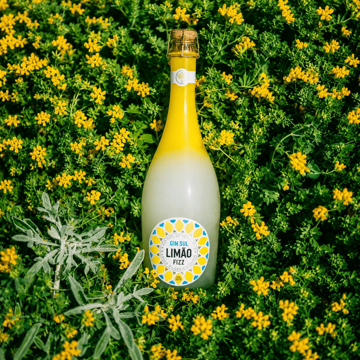 Limão Fizz Gin Fizz Aperitif – Ready to Drink - TwentyFourParty