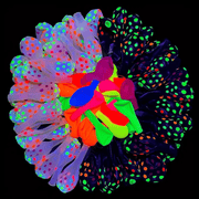 Neon - Luftballons Party Mix - TwentyFourParty