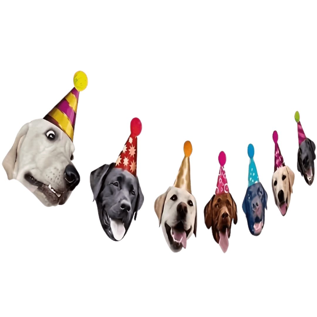 Party Labrador Girlande - TwentyFourParty