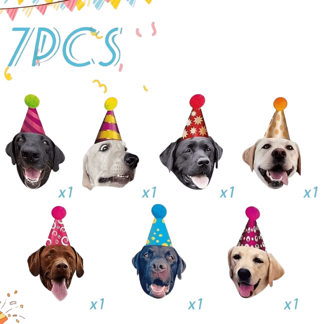 Party Labrador Girlande - TwentyFourParty