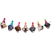 Party Labrador Girlande - TwentyFourParty