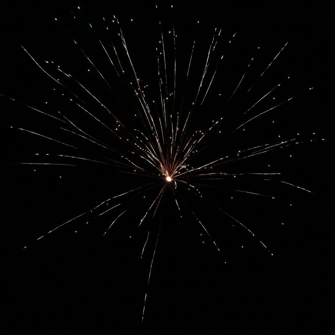 Paukenschlag, 19 Schuss - TwentyFourParty