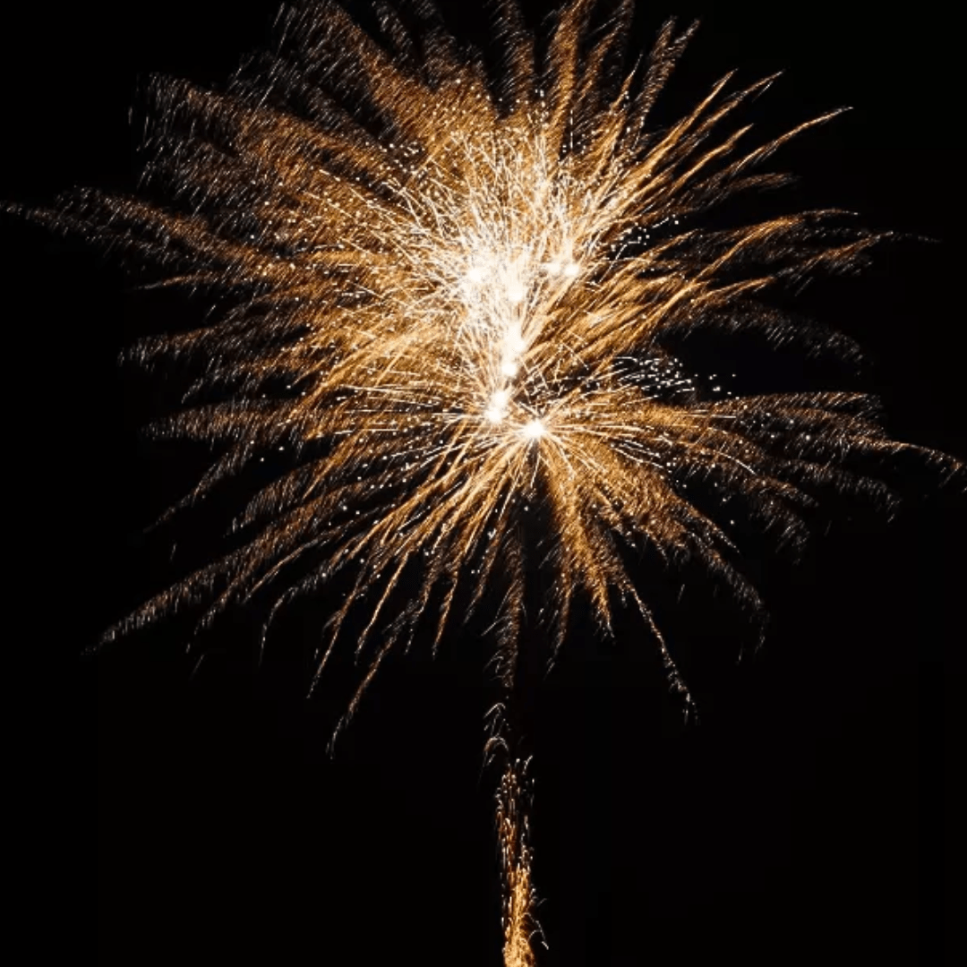 Peter der Große, 25 Schuss - TwentyFourParty