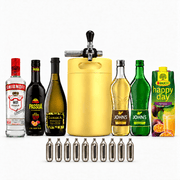 Pornstar Martini Fass-Set – Keggo Mini Keg 4 l mit allen Zutaten - TwentyFourParty