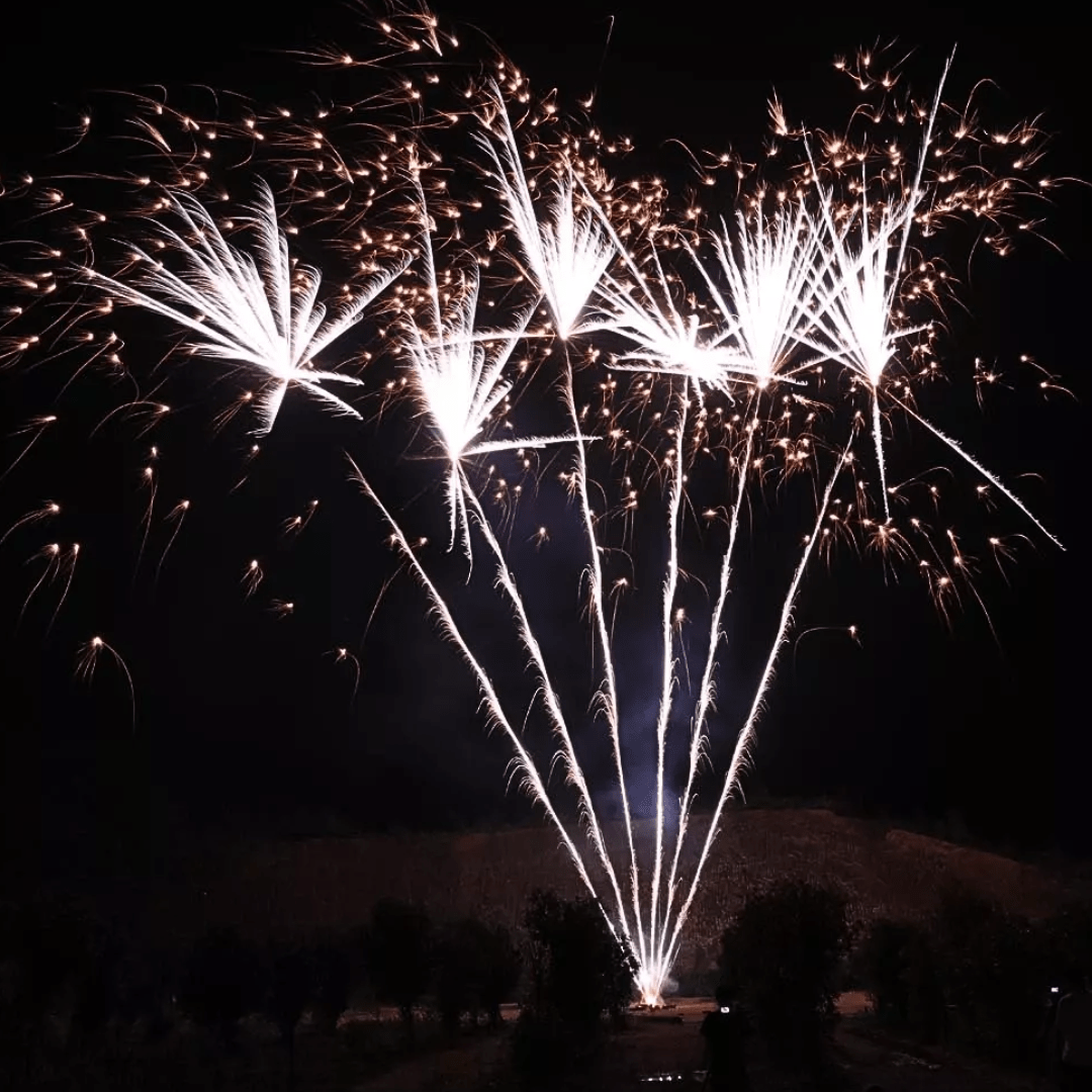 Silver Coconut, 6 Schuss - TwentyFourParty