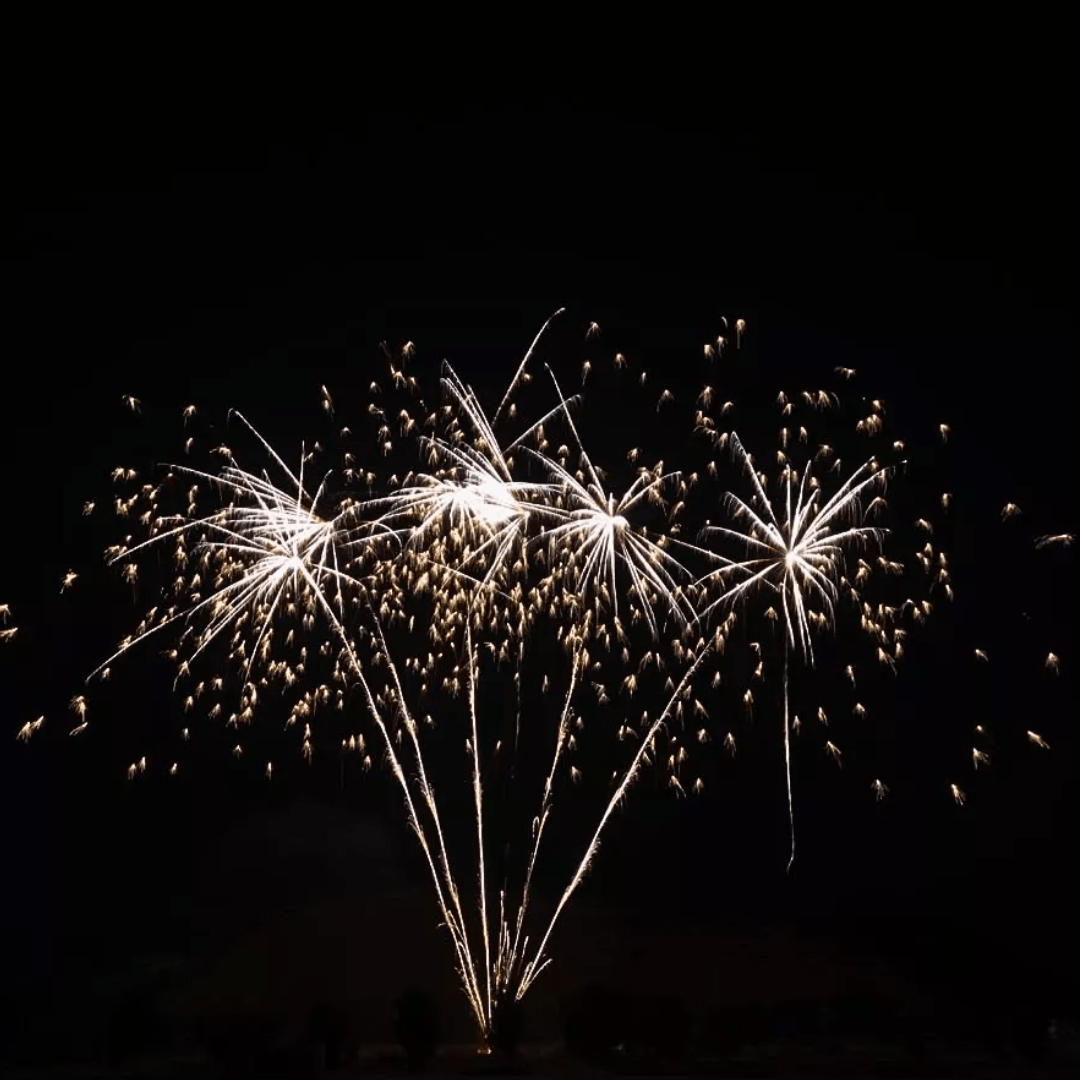 Silver Coconut, 6 Schuss - TwentyFourParty