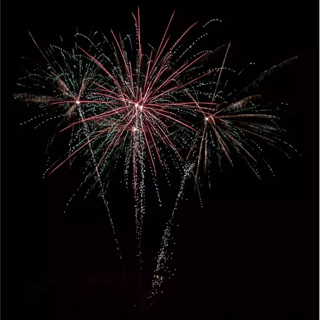 Skeleton, 31 Schuss - TwentyFourParty