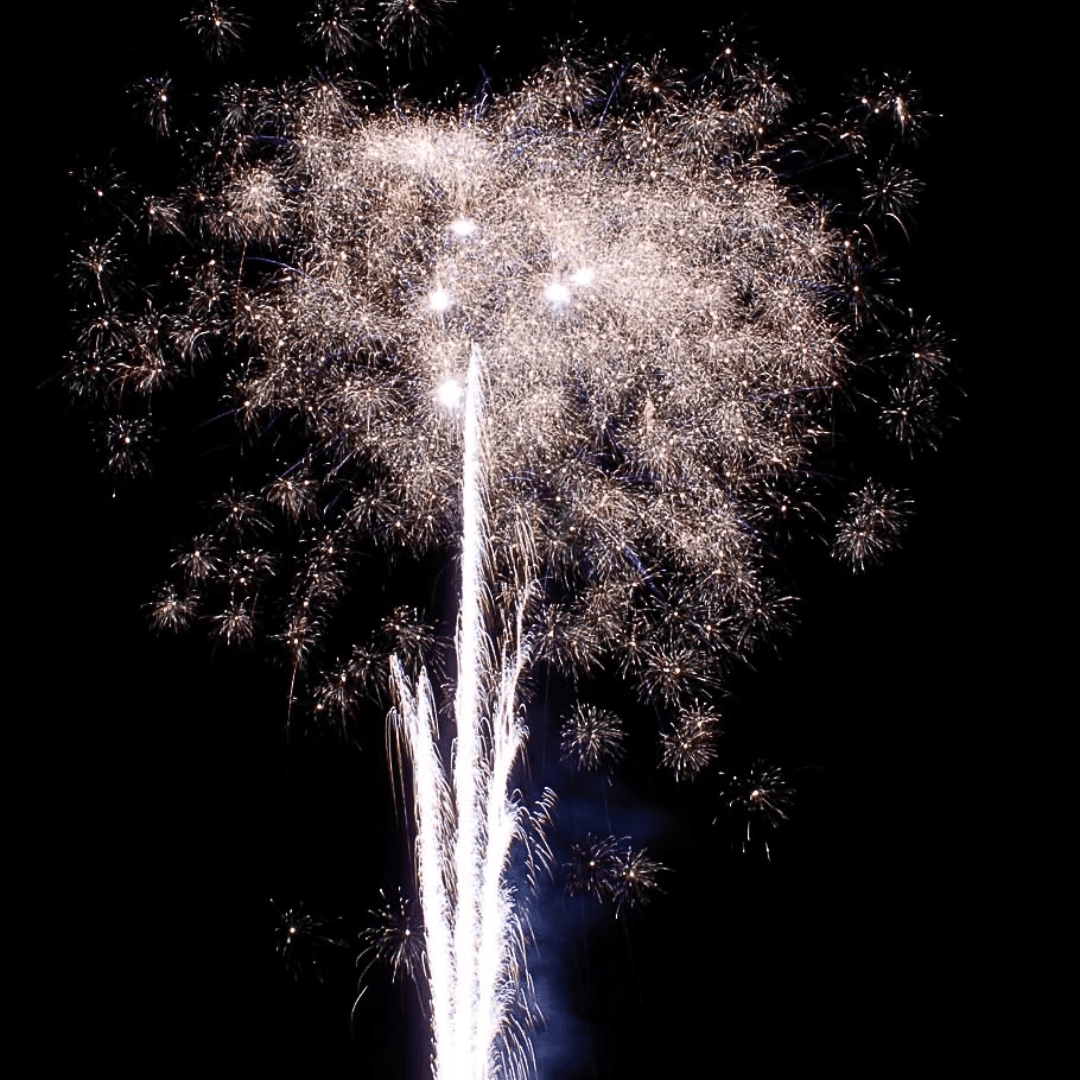 Skeleton, 31 Schuss - TwentyFourParty