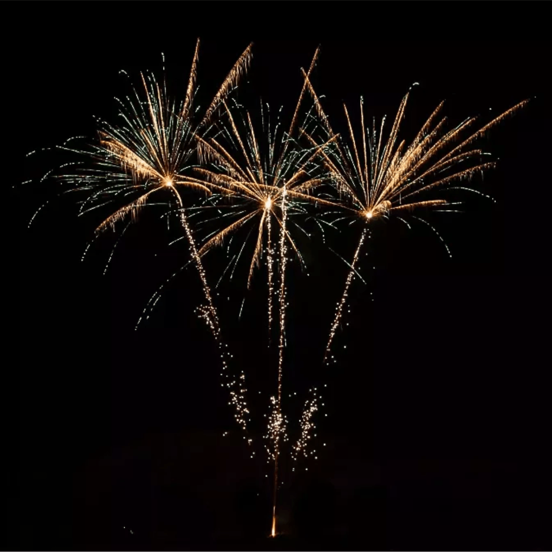 Skeleton, 31 Schuss - TwentyFourParty