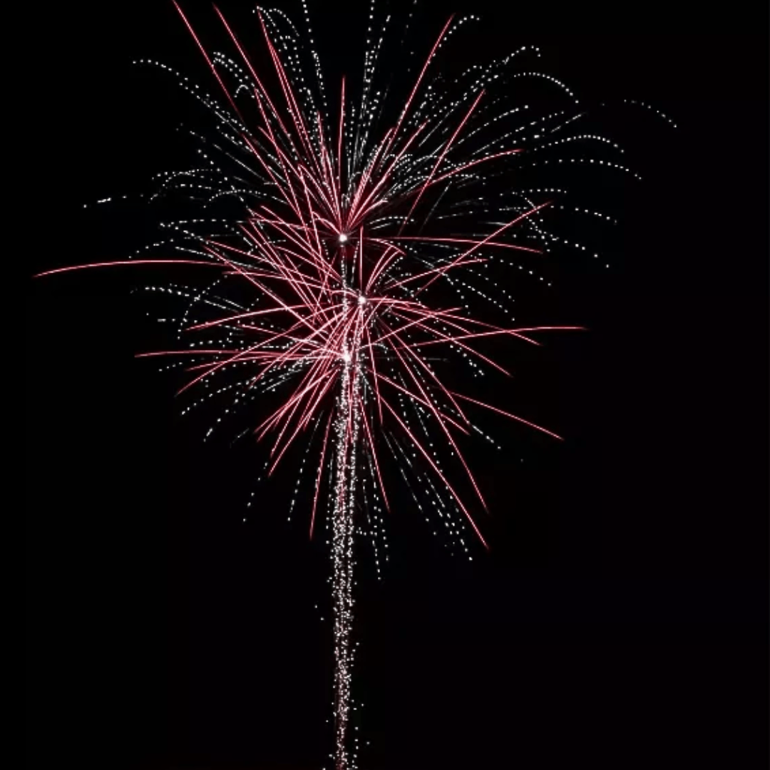 Skeleton, 31 Schuss - TwentyFourParty