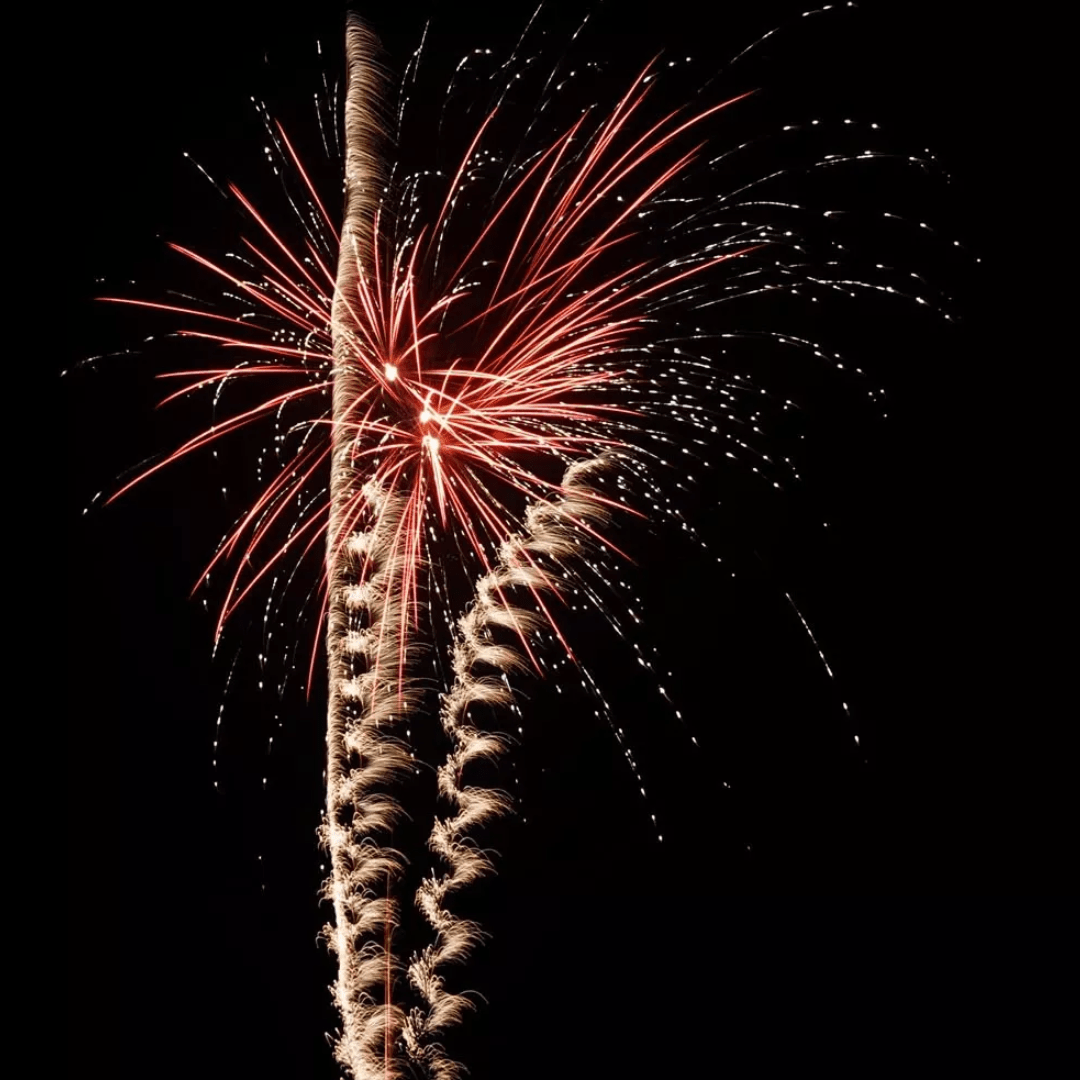 The Wild Hunt, 36 Schuss - TwentyFourParty