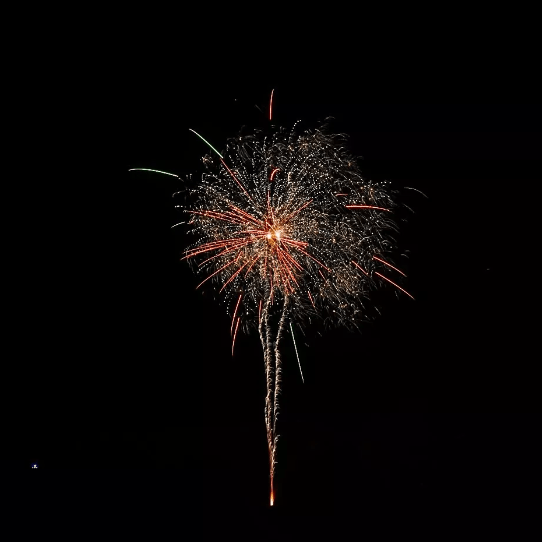 The Wild Hunt, 36 Schuss - TwentyFourParty