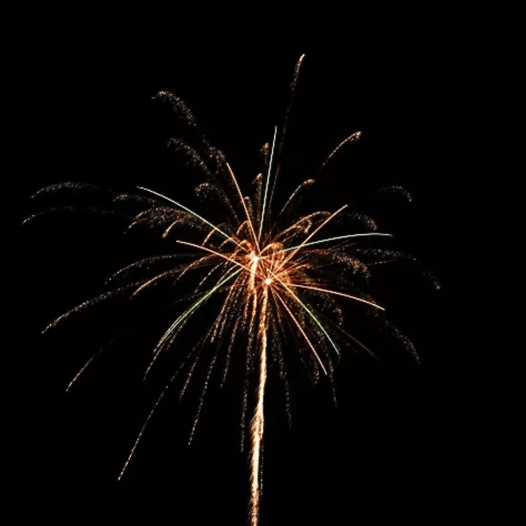 Wild Cowboy Sam, 20 Schuss - TwentyFourParty